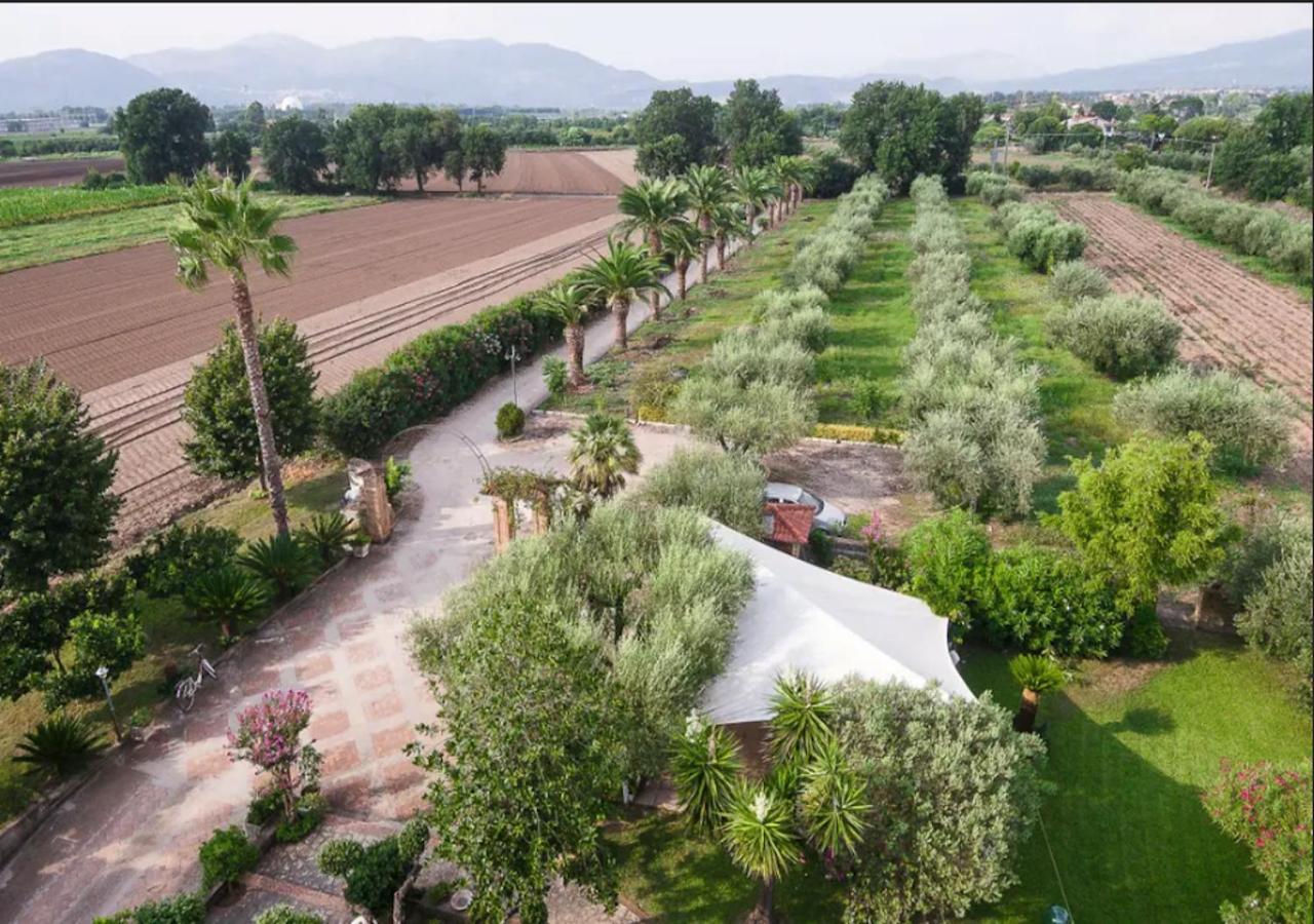 Villa Rosa Lifestyle B&B Sessa Aurunca Bagian luar foto