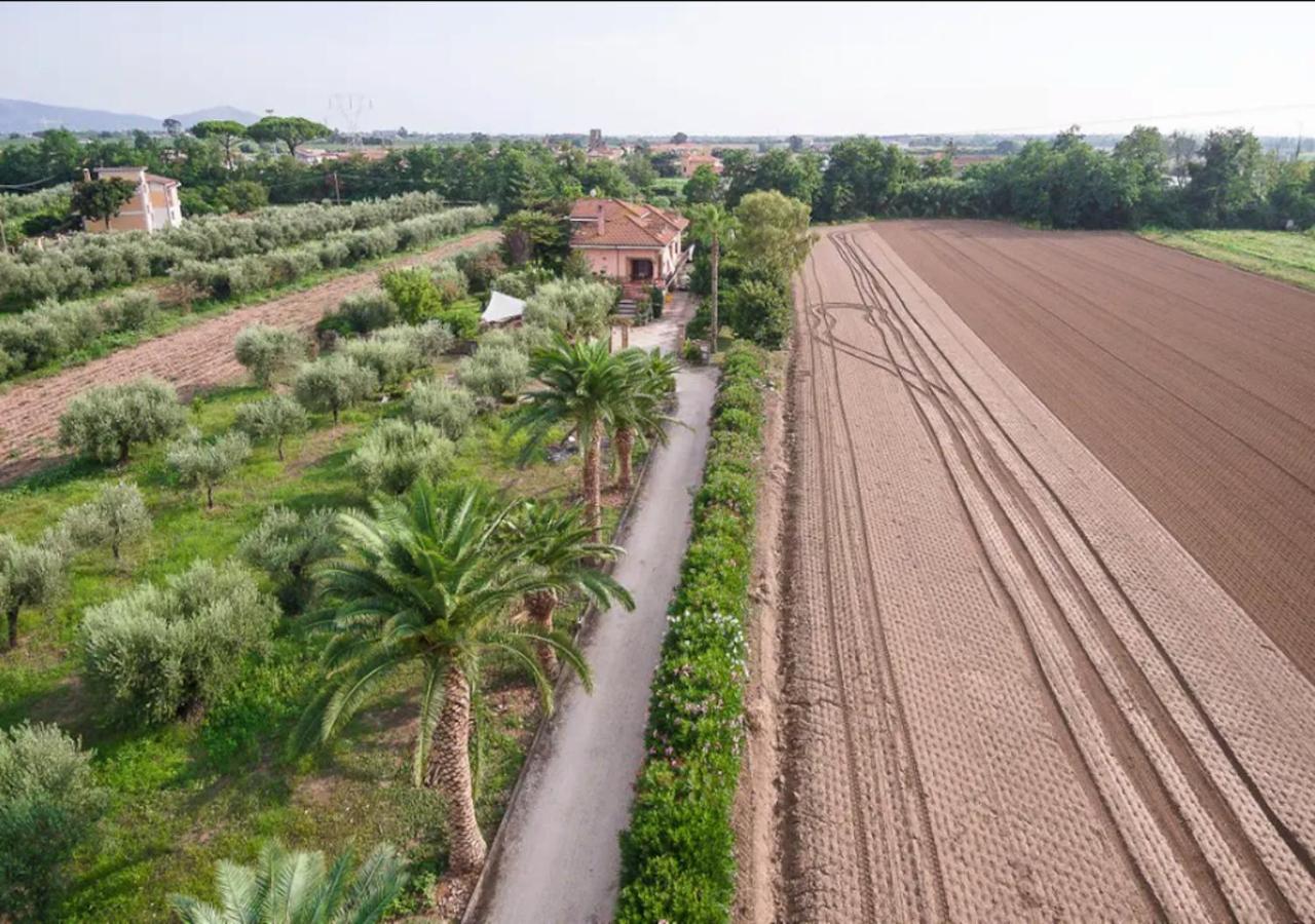 Villa Rosa Lifestyle B&B Sessa Aurunca Bagian luar foto