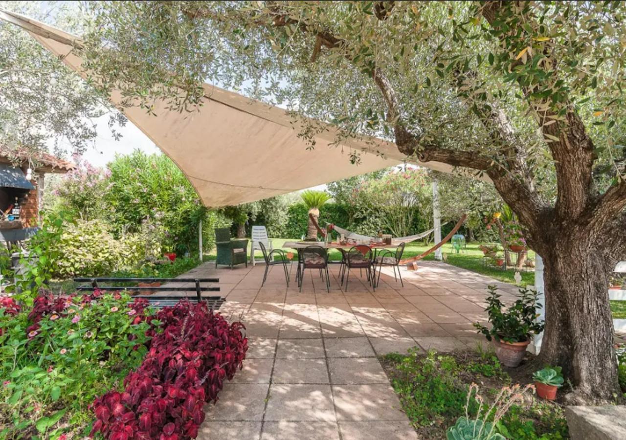 Villa Rosa Lifestyle B&B Sessa Aurunca Bagian luar foto