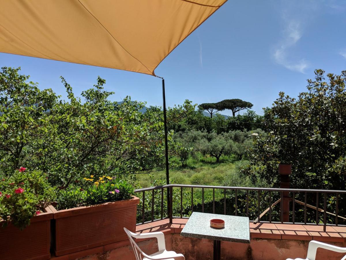 Villa Rosa Lifestyle B&B Sessa Aurunca Bagian luar foto